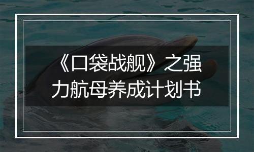 《口袋战舰》之强力航母养成计划书