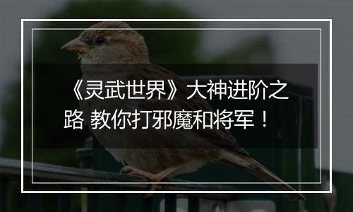 《灵武世界》大神进阶之路 教你打邪魔和将军！