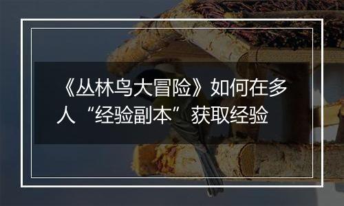 《丛林鸟大冒险》如何在多人“经验副本”获取经验