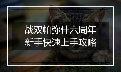 战双帕弥什六周年新手快速上手攻略