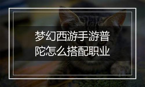 梦幻西游手游普陀怎么搭配职业