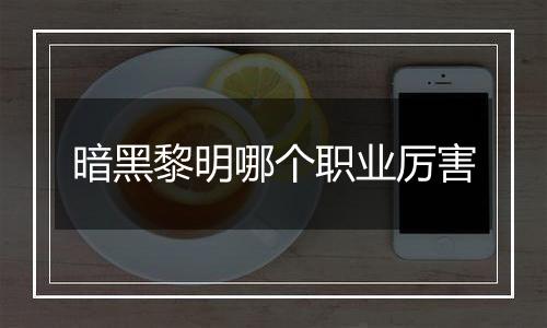 暗黑黎明哪个职业厉害