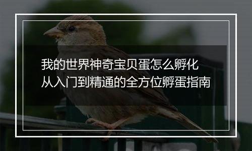 我的世界神奇宝贝蛋怎么孵化 从入门到精通的全方位孵蛋指南