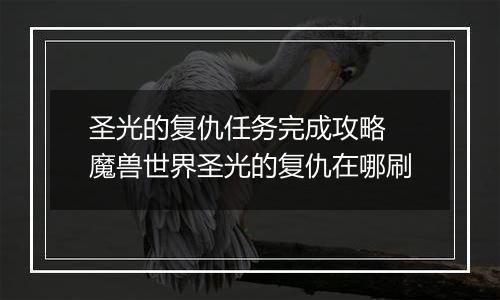 圣光的复仇任务完成攻略 魔兽世界圣光的复仇在哪刷
