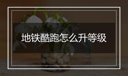 地铁酷跑怎么升等级