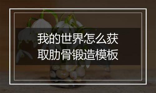 我的世界怎么获取肋骨锻造模板