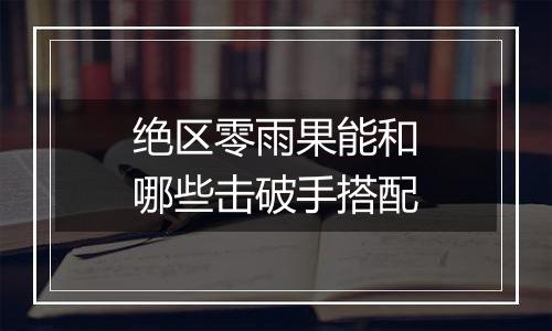 绝区零雨果能和哪些击破手搭配