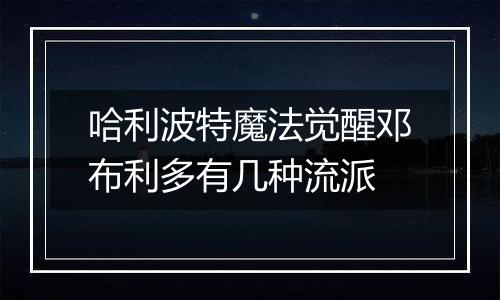哈利波特魔法觉醒邓布利多有几种流派