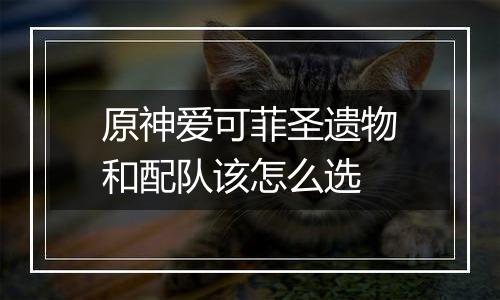 原神爱可菲圣遗物和配队该怎么选