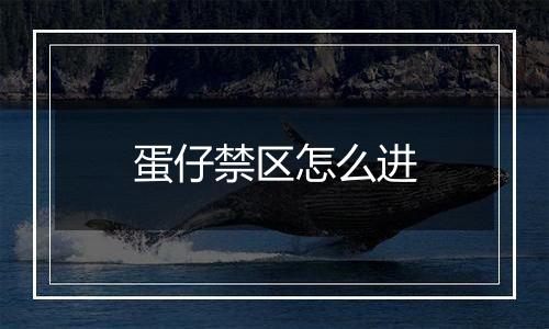 蛋仔禁区怎么进