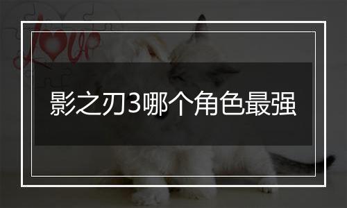 影之刃3哪个角色最强