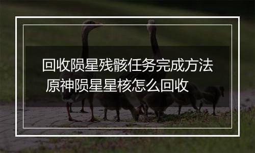 回收陨星残骸任务完成方法 原神陨星星核怎么回收