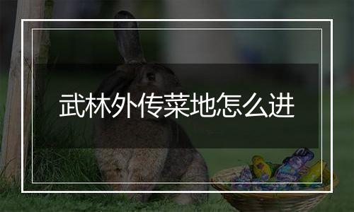 武林外传菜地怎么进