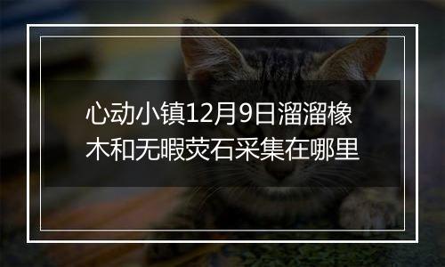 心动小镇12月9日溜溜橡木和无暇荧石采集在哪里