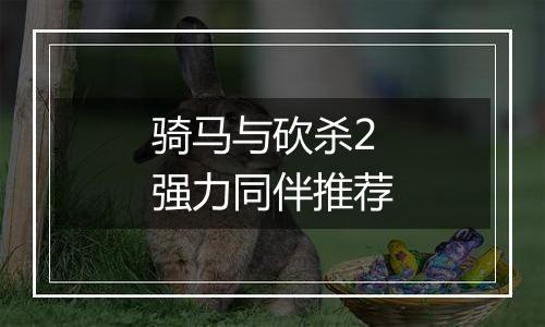 骑马与砍杀2强力同伴推荐