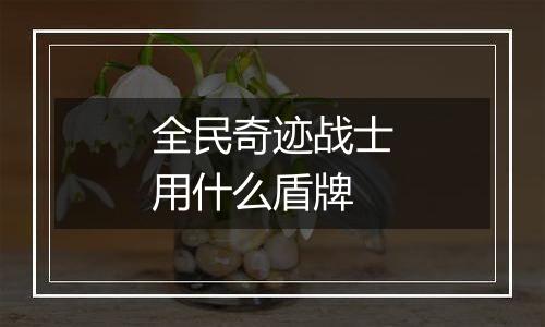 全民奇迹战士用什么盾牌