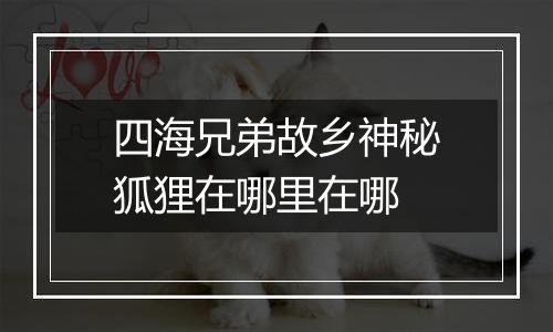 四海兄弟故乡神秘狐狸在哪里在哪