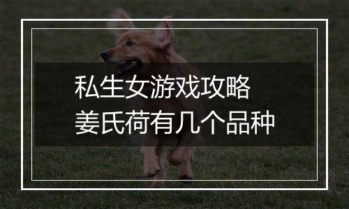 私生女游戏攻略  姜氏荷有几个品种