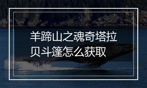 羊蹄山之魂奇塔拉贝斗篷怎么获取