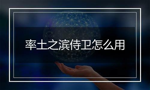 率土之滨侍卫怎么用