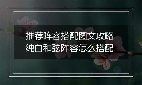 推荐阵容搭配图文攻略 纯白和弦阵容怎么搭配