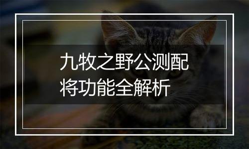 九牧之野公测配将功能全解析