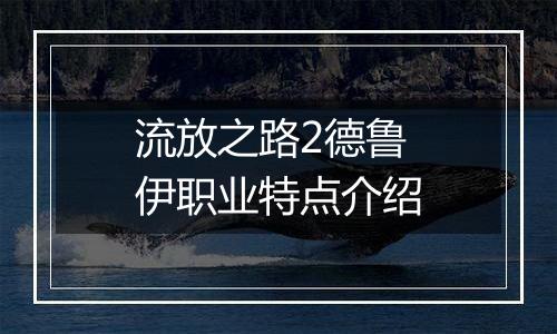 流放之路2德鲁伊职业特点介绍