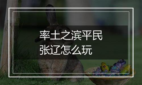 率土之滨平民张辽怎么玩