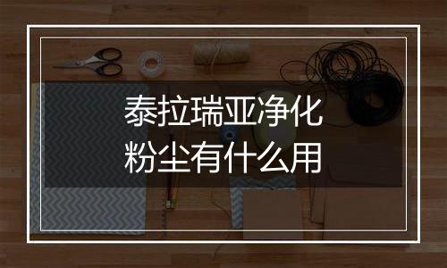 泰拉瑞亚净化粉尘有什么用