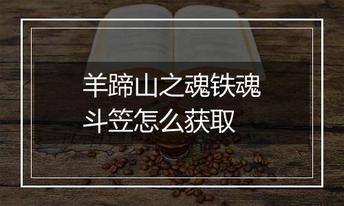 羊蹄山之魂铁魂斗笠怎么获取