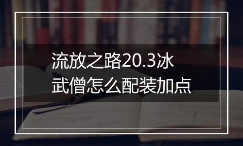 流放之路20.3冰武僧怎么配装加点