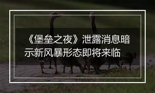 《堡垒之夜》泄露消息暗示新风暴形态即将来临