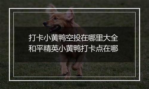打卡小黄鸭空投在哪里大全 和平精英小黄鸭打卡点在哪