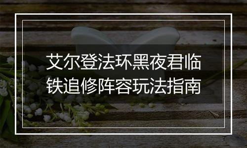 艾尔登法环黑夜君临铁追修阵容玩法指南