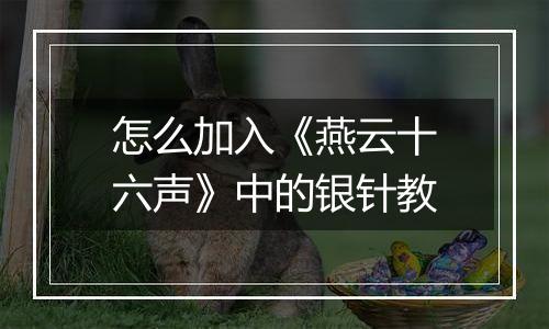 怎么加入《燕云十六声》中的银针教