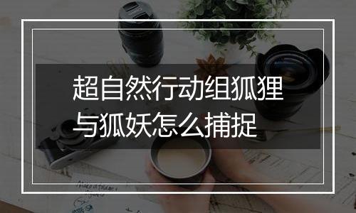超自然行动组狐狸与狐妖怎么捕捉