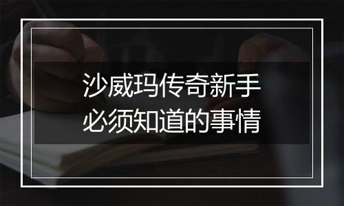 沙威玛传奇新手必须知道的事情