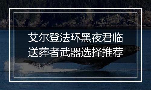 艾尔登法环黑夜君临送葬者武器选择推荐
