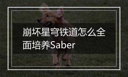 崩坏星穹铁道怎么全面培养Saber