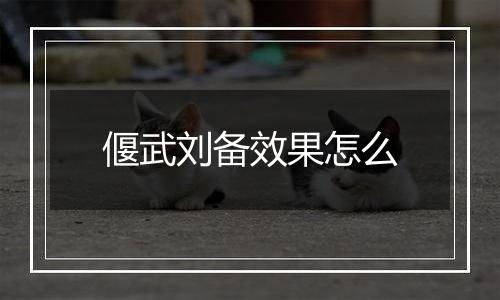 偃武刘备效果怎么