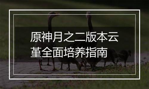 原神月之二版本云堇全面培养指南