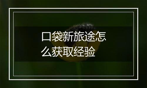口袋新旅途怎么获取经验