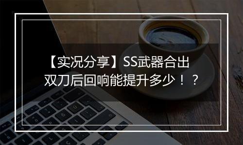 【实况分享】SS武器合出双刀后回响能提升多少！？