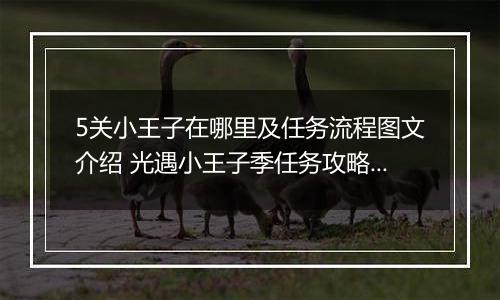 5关小王子在哪里及任务流程图文介绍 光遇小王子季任务攻略汇总，1