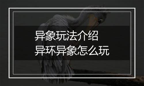 异象玩法介绍 异环异象怎么玩