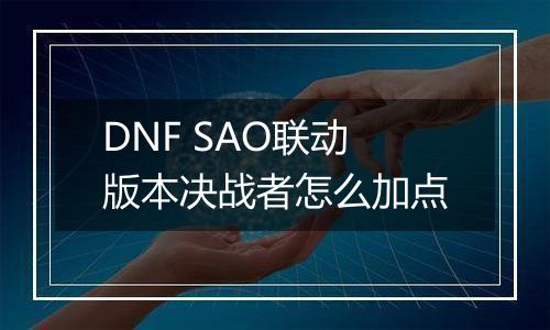 DNF SAO联动版本决战者怎么加点