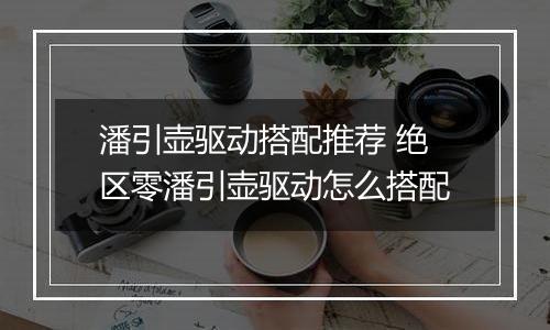 潘引壶驱动搭配推荐 绝区零潘引壶驱动怎么搭配