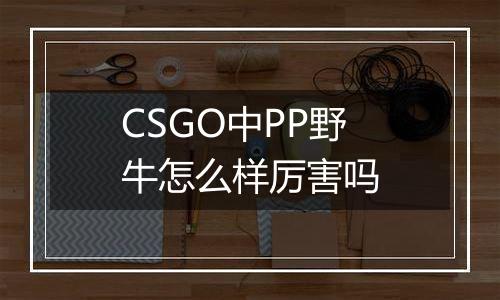 CSGO中PP野牛怎么样厉害吗
