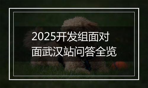 2025开发组面对面武汉站问答全览