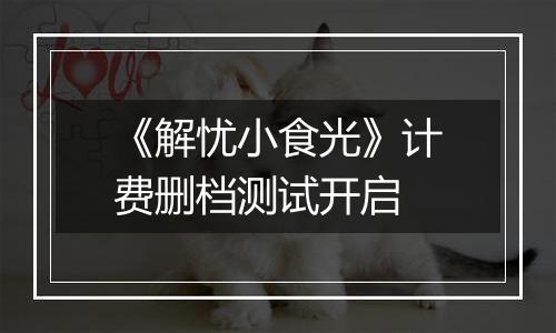 《解忧小食光》计费删档测试开启